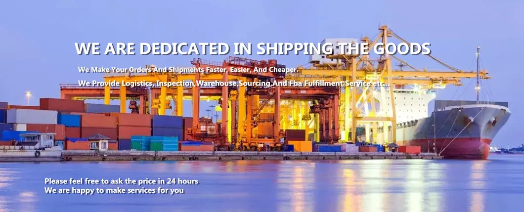 Cheapest Logistics Agent Amazon Fba Courier to USA/Europe Sea Shipping DDP