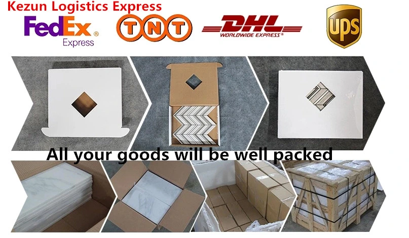 Cheapest Logistics Agent Amazon Fba Courier to USA/Europe Sea Shipping DDP