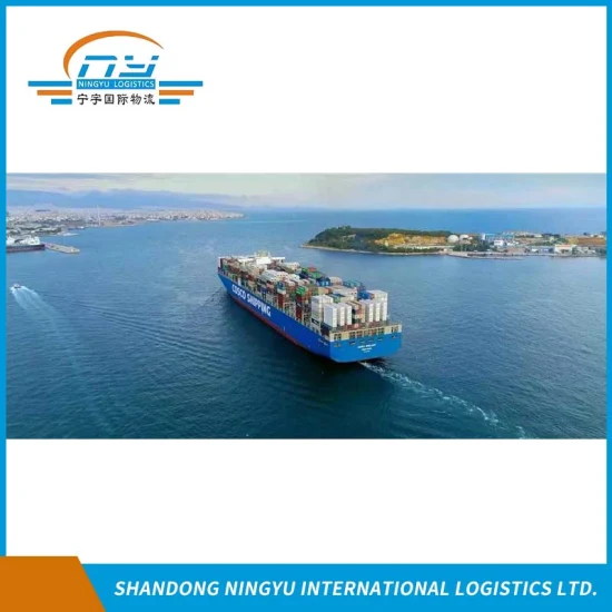 DDU DDP especialista en transporte marítimo oceánico de China a República Checa