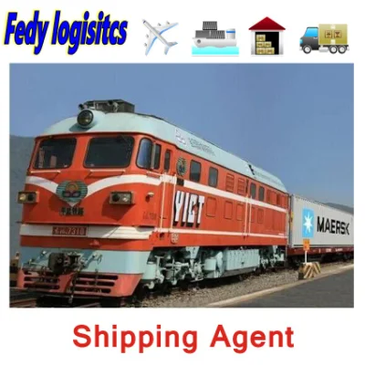 DDP / DDU Envío Servicios de logística de carga aérea para transporte ferroviario desde China a Europa Servicio de carga por parte de agentes de envío FCL a Moscú Novosibirsk