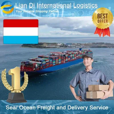Transporte marítimo profesional, transitario marítimo, servicio de entrega de China a Luxemburgo