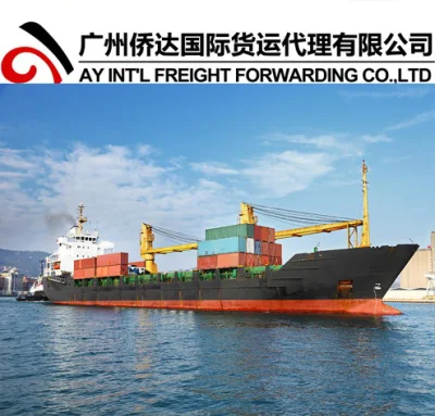 Consolidación/Transporte marítimo/Transporte marítimo a Belawan